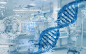Ricerca Scientifica di Base - Malattie Miotoniche - FMM