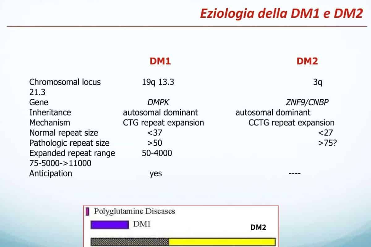 Distrofia miotonica-trial-in-corso-FMM